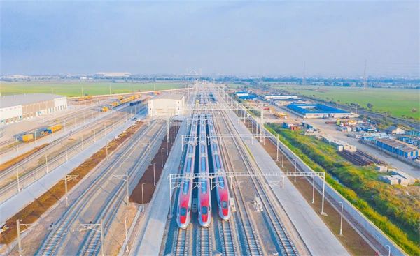 1695697369283639.jpg 8.jpg